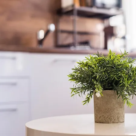 Marijano 아파트 *